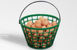 EZ-Gather Egg Basket