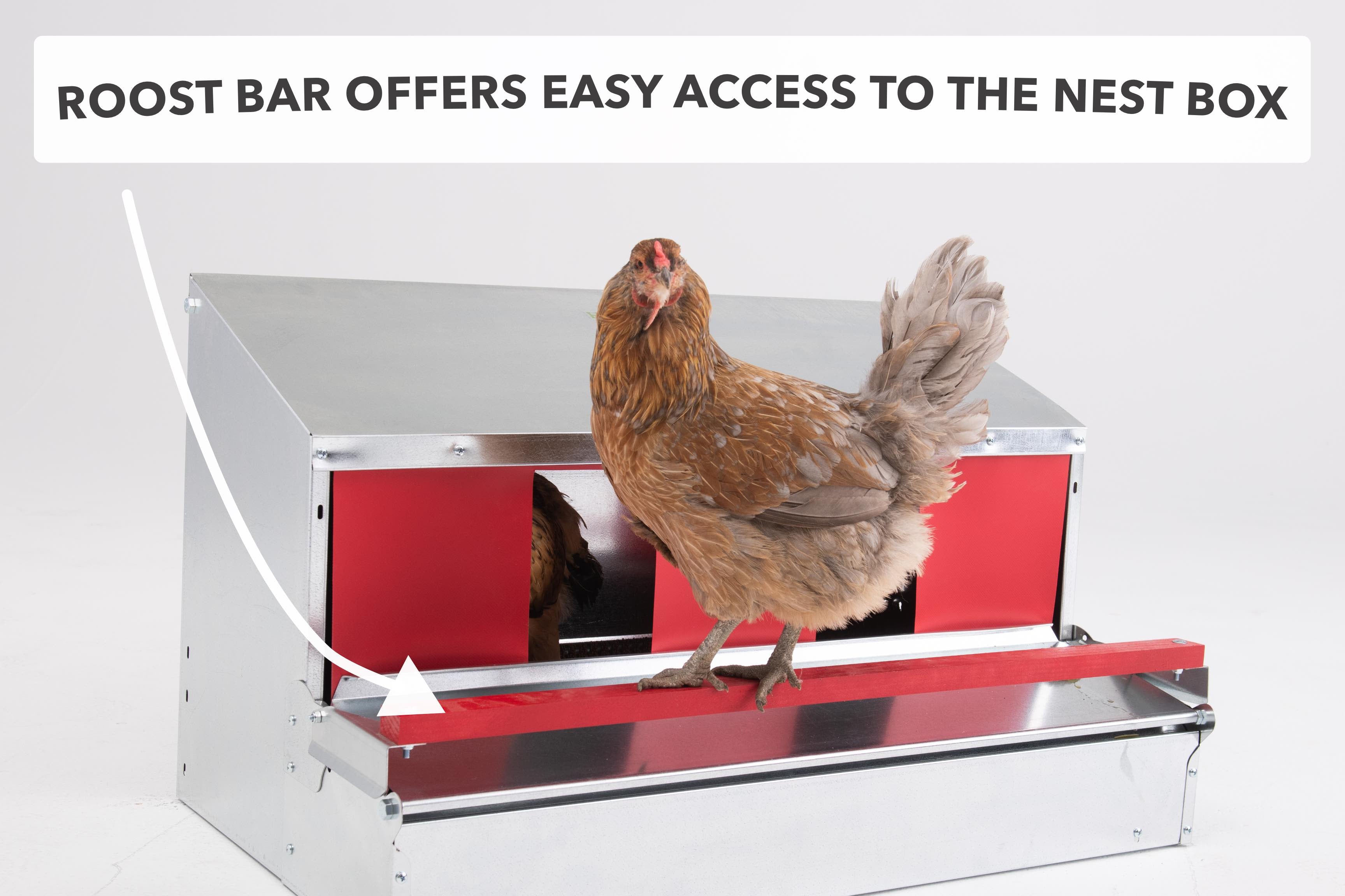 Medium (34") Reversible Rollout Nest Box (Up to 32 Hens) - Premium Grade - Free Shipping