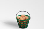 EZ-Gather Egg Basket