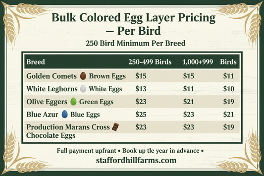 Bulk Colored Egg Layer Pricing Chart
