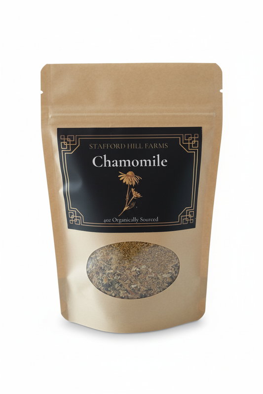 Chamomile - Background Removed