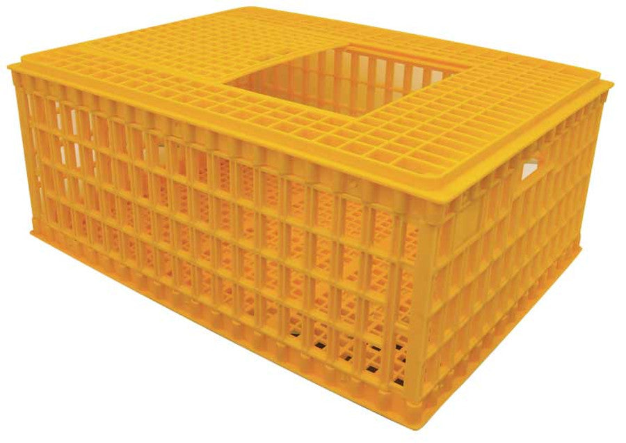 Plastic Chicken Transport Crates